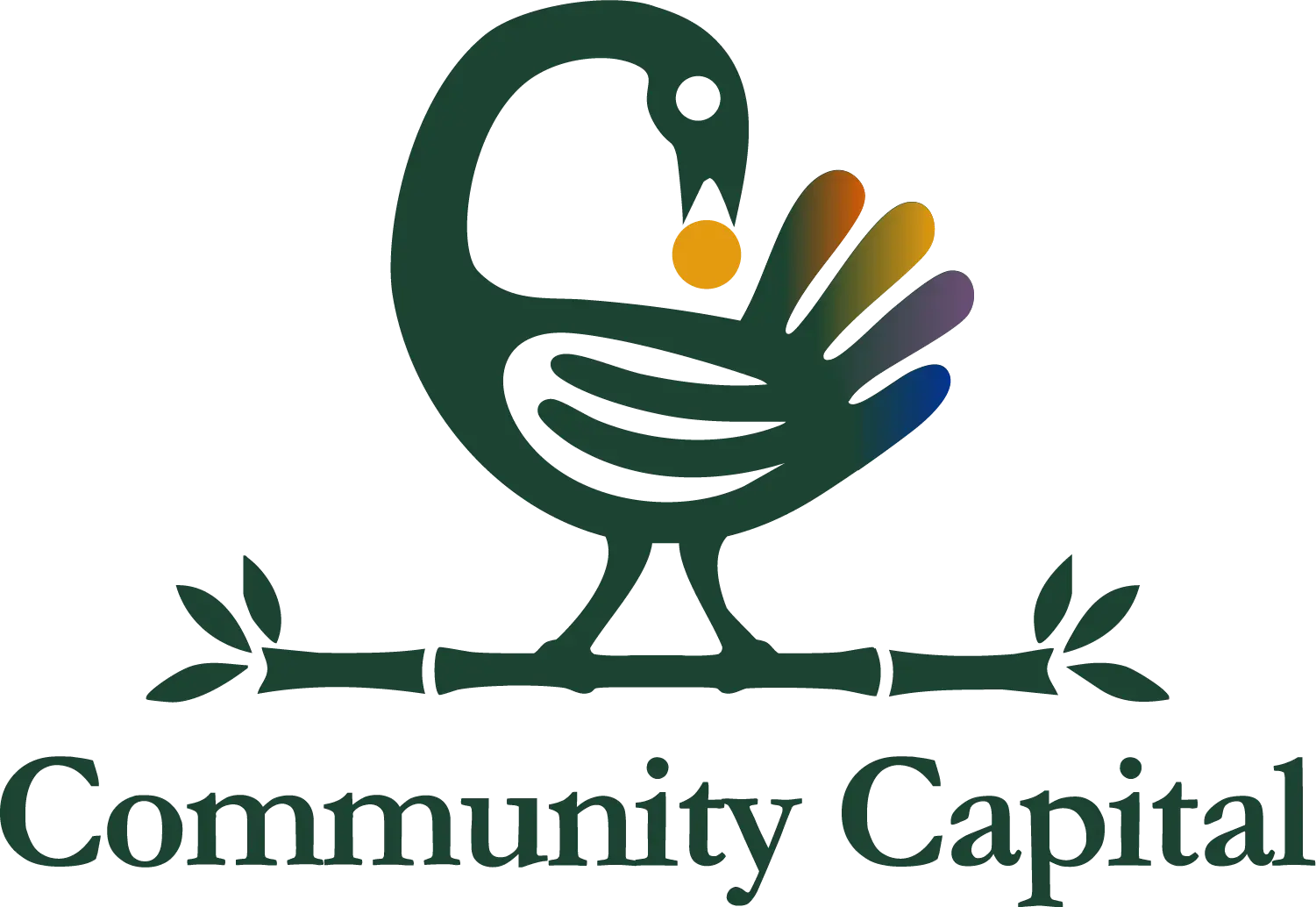 Community Capital