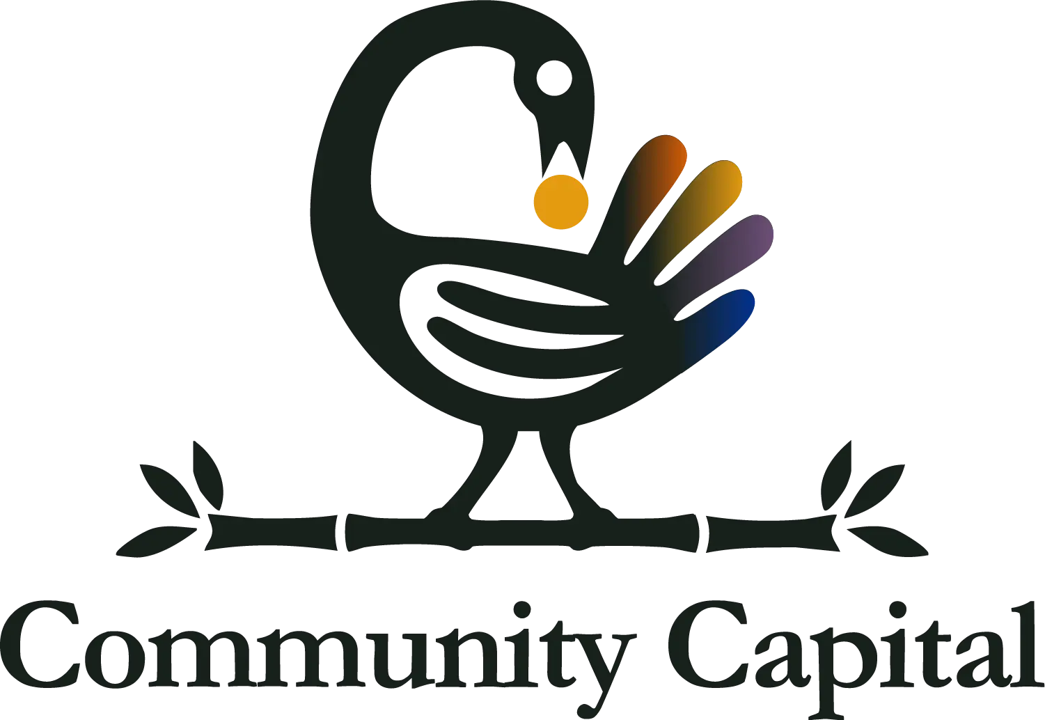 Community Capital